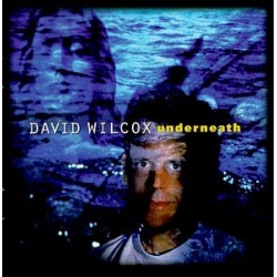 David Wilcox - Underneath